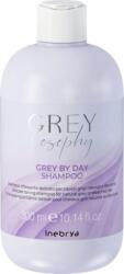 Inebrya Grey By Day Sampon 300 ml