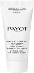 PAYOT Gommage Intense testradír 300 ml