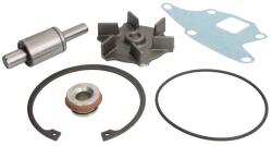 OMP Kit Reparatie Pompa de Racire Garnitura/Simering Inel Inel Etansare Manson Rotor Fund Rulmenti Articulatie Sferica New (OMP162.157)