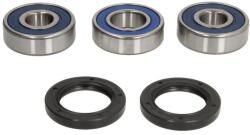 ALL BALLS Kit Rulment Roata Spate (cu Etansanti) Honda Cbr 125 2011-2015 HONDA CBR (25-1784)