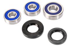 ALL BALLS Kit Rulment Roata Spate (cu Etansanti) Honda Cb 600 1998-2006 HONDA CB (25-1468)