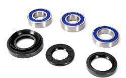 ALL BALLS Kit Rulment Roata Spate (cu Etansanti) Honda Trx 350-500 1995-2014 HONDA TRX (25-1037AB)