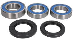 ALL BALLS Kit Rulment Roata Spate (cu Etansanti) Honda Rvf Suzuki Gsx Gsx-r Tl 600-1300 1993-2007 HONDA RVF SUZUKI GSX/GSX-R/TL (25-1039)