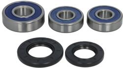 ALL BALLS Kit Rulment Roata Spate (cu Etansanti) Honda Cb Cbr Vf 700-1100 1983-2007 HONDA CB/CBR/VF (25-1358)