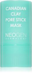 Neogen Dermalogy Canadian Clay Pore Stick Mask mélyen tisztító maszk a pórusok összehúzására 28 g