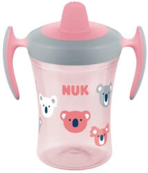 Nuk Evolution Cana Trainer, roz, 6 luni+, 230ml Set pentru masa bebelusi