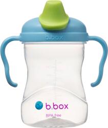 b.box Cana de tranzitie cu cioc, +4l, Albastru/Verde, 240 ml, B. box Set pentru masa bebelusi
