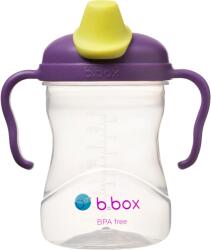 B. BOX Cana de tranzitie cu cioc, +4l, Mov/Verde, 240 ml, B. box Set pentru masa bebelusi