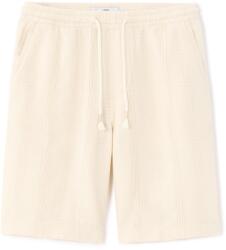 CELIO Polack7bm (1192697)