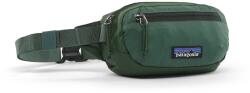 Patagonia Hip Pack Patagonia Terravia Mini, 1 l, canopy green ()