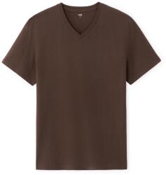 CELIO DEBASEV Maro M (1191614)