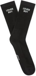 CELIO Pisoword2 (1194275)