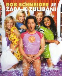 MagicBox Žába k zulíbání - DVD