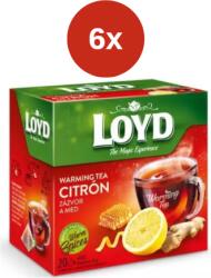 LOYD Melegítő Tea Piramis Citrom Gyömbér Méz 6x40g