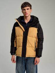 Dorko Henry (25fma00077013xl)