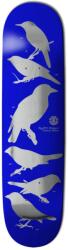  Element Ornithology Milou gördeszka lap (8.5) (ELYXD00243)