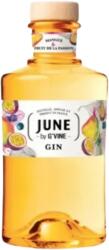 G'Vine - June by G'Vine Mango & Passion Fruit Gin 0, 7 L