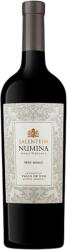 SALENTEIN - Numina Petit Verdot 2022 0, 75 L