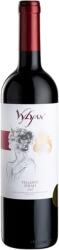 Vylyan Borászat - Syrah 2020 0, 75L