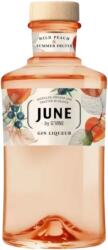 G'Vine - June by G'Vine Wild Peach & Summer Fruits Gin 0, 7 L