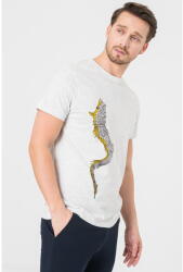 Pegas TRICOU CASUAL DRACON BARBATI LIGHT GRAY- (PS2122-00-03LGMD-S) - vexio