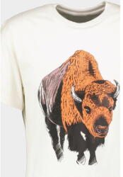 Pegas TRICOU ZIMBRU (TPG23ZIMBR-IVO_S) - vexio