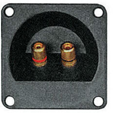  CONECTOR BOXA 2 BANANE AURII (GNI0241)