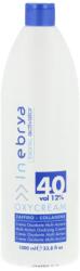 Inebrya Bionic Activator Oxycream 40 Volume (12%) 1000 ml - parfimo