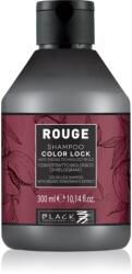 Black Professional Rouge Color Lock Shampoo ápoló sampon festett hajra 300 ml