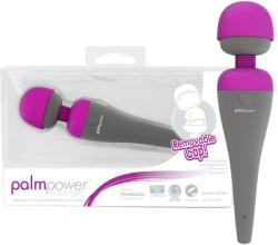 PalmPower Wand Massager