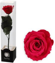Altx tartósított rózsa száron, 30cm, piros