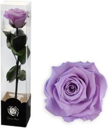 Altx tartósított rózsa száron, 30cm, lila