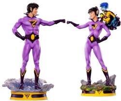 Iron Studios DC Comics - Wonder Twins Statuie Art Scale 1/10 (DCCDCG42021-10) Figurina