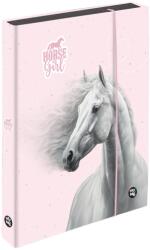 KARTON P+P Cutie pentru caiete A5 Jumbo cal romantic (8-72126)