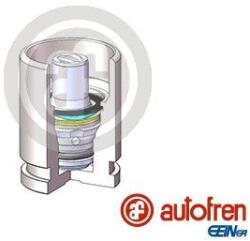 Autofren Seinsa Piston, etrier frana AUTOFREN SEINSA D025698K (D025698K)