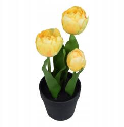 Bomm Tulipán 28 cm műsárga, fekete cserépben (tulipan)
