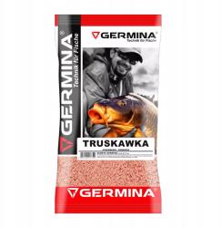Germina Zanata Germina Eper 1kg (ZA-GG121)