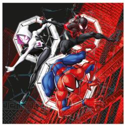 Flippy Set 20 servetele party Spiderman Webs 33x33cm (187121)