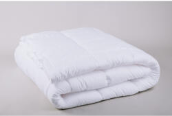 Naturtex Antibacterial Soft paplan 140x200 cm - 600 g - mosonfuggony