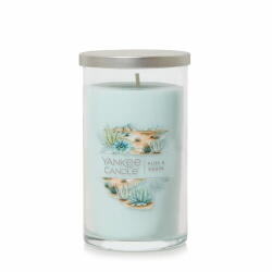 Yankee Candle Aloe & Agave 368 g (5038581158709)