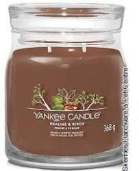 Yankee Candle Praline & Birch 368 g (5038581129556)