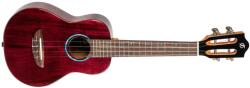 Flight IRIS TINTA CONCERT TPP