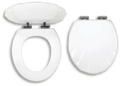 FERRO WC ülőke, MDF, Soft Close, kagylómintás (FE-WC/SOFTMUSLELY)