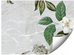 GIGAPRINT Fotótapéta Botanikai Illusztráció A Nappali Hálószobájába 300x210 (Ilustracja_botaniczna_na_cemencie)
