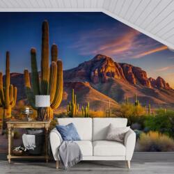 GIGAPRINT Arizona Naplemente Öntapadós Fotótapéta Nappali Hálószobába 368x254 (Zachod_slonca_ArizonA)