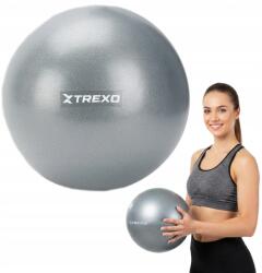 Xtrexo Gimnasztikai labda mini Xtrexo TXO-B4Z010-GY 20 cm szürke Sokoldalú (TXO-B4Z010-GY)