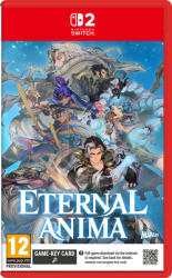 Marvelous Eternal Anima (Switch 2)