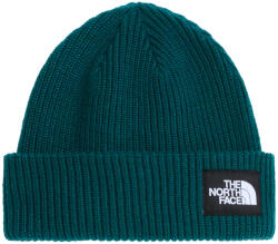 The North Face Salty Lined Beanie sapka zöld