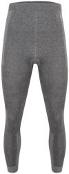 Dare 2b In The Zone II Legging férfi funkcionális aláöltözet XXL / világosszürke