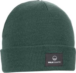 Wild Country Flow Beanie téli sapka zöld